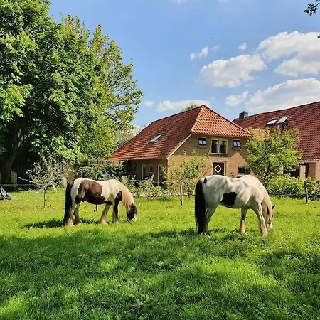 Boerderijtje Op Prachtige Plek, Nabij Natuurgebied Сasa de vacaciones Ruurlo