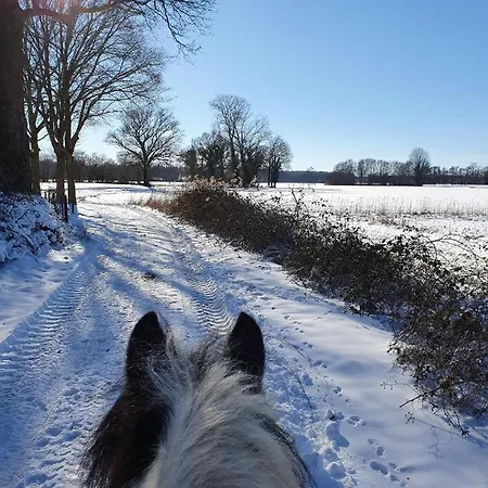 Boerderijtje Op Prachtige Plek, Nabij Natuurgebied