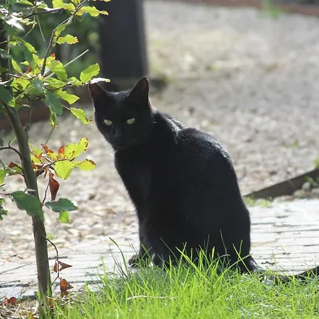 Prázdninový dům Boerderijtje Op Prachtige Plek, Nabij Natuurgebied Ruurlo
