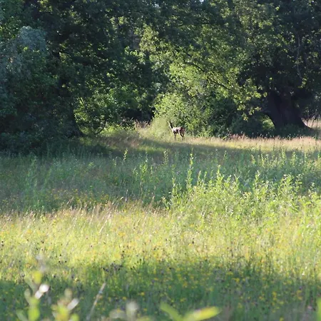 Prázdninový dům Boerderijtje Op Prachtige Plek, Nabij Natuurgebied *