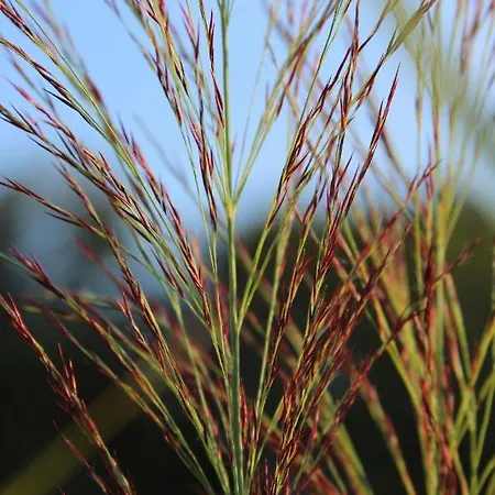 Prázdninový dům Boerderijtje Op Prachtige Plek, Nabij Natuurgebied Ruurlo