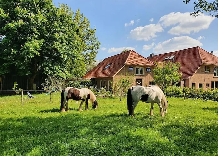 Boerderijtje Op Prachtige Plek, Nabij Natuurgebied בית נופש רורלו