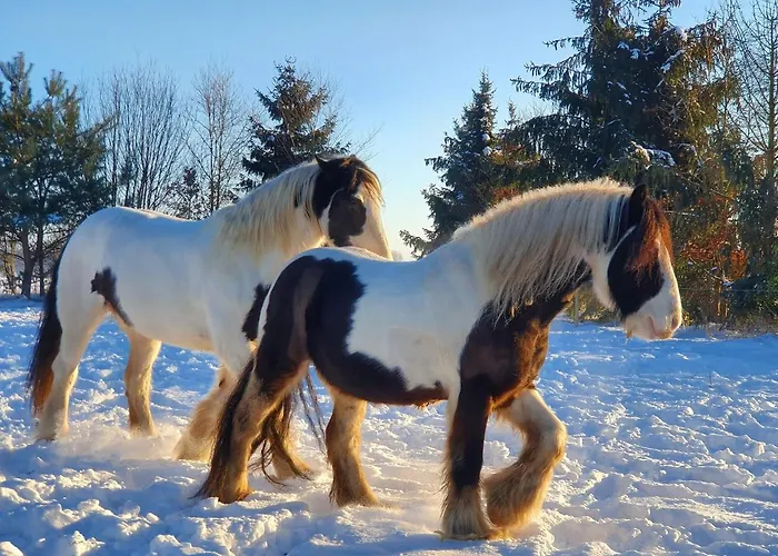 Boerderijtje Op Prachtige Plek, Nabij Natuurgebied בית נופש *