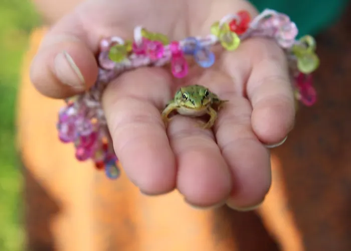 Boerderijtje Op Prachtige Plek, Nabij Natuurgebied בית נופש *