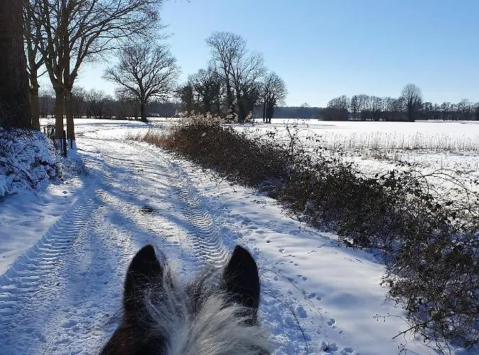 Boerderijtje Op Prachtige Plek, Nabij Natuurgebied