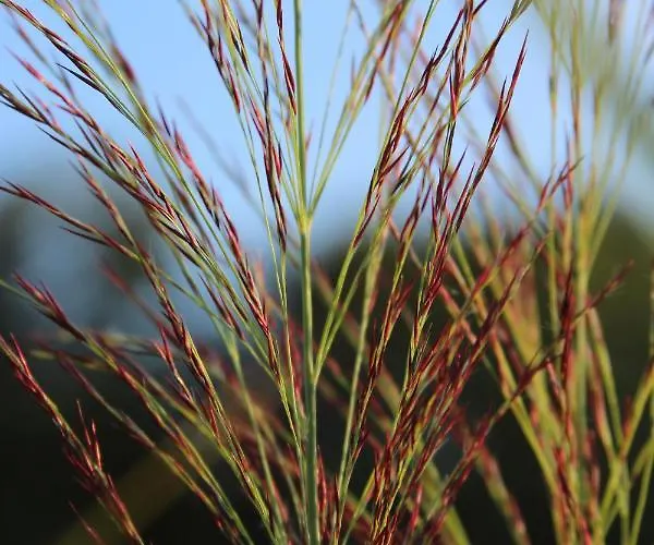 בית נופש Boerderijtje Op Prachtige Plek, Nabij Natuurgebied רורלו
