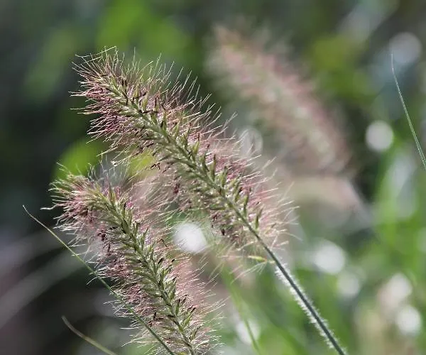 Boerderijtje Op Prachtige Plek, Nabij Natuurgebied * רורלו