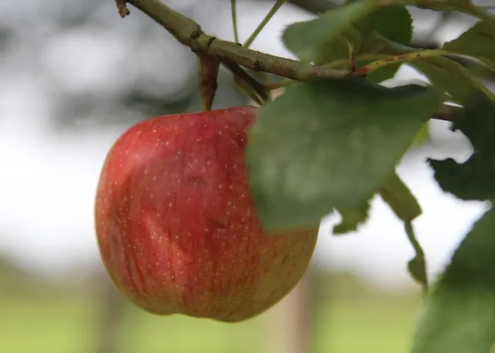 Boerderijtje Op Prachtige Plek, Nabij Natuurgebied בית נופש