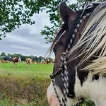 Boerderijtje Op Prachtige Plek, Nabij Natuurgebied Vakantiehuis