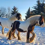 Boerderijtje Op Prachtige Plek, Nabij Natuurgebied Vakantiehuis *