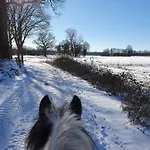 Boerderijtje Op Prachtige Plek, Nabij Natuurgebied