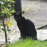 Vakantiehuis Boerderijtje Op Prachtige Plek, Nabij Natuurgebied Ruurlo