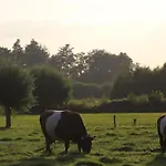 Boerderijtje Op Prachtige Plek, Nabij Natuurgebied Vakantiehuis Ruurlo