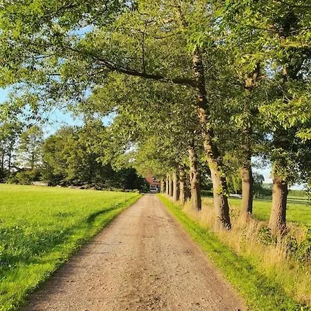 Vakantiehuis Boerderijtje Op Prachtige Plek, Nabij Natuurgebied