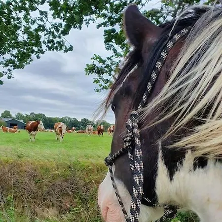 Boerderijtje Op Prachtige Plek, Nabij Natuurgebied Prázdninový dům