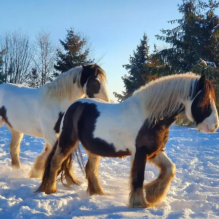 Boerderijtje Op Prachtige Plek, Nabij Natuurgebied Prázdninový dům *