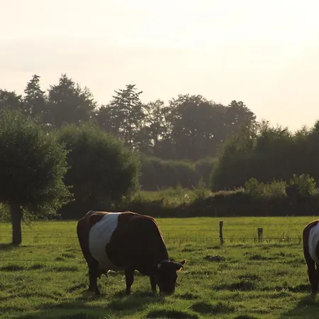 Boerderijtje Op Prachtige Plek, Nabij Natuurgebied Prázdninový dům Ruurlo