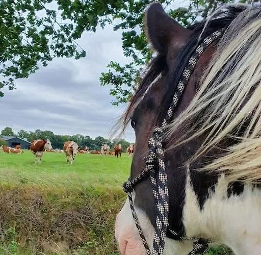 Boerderijtje Op Prachtige Plek, Nabij Natuurgebied Holiday home