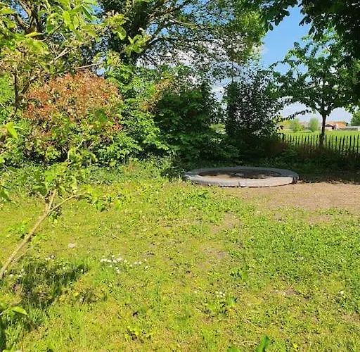 Boerderijtje Op Prachtige Plek, Nabij Natuurgebied Holiday home Ruurlo