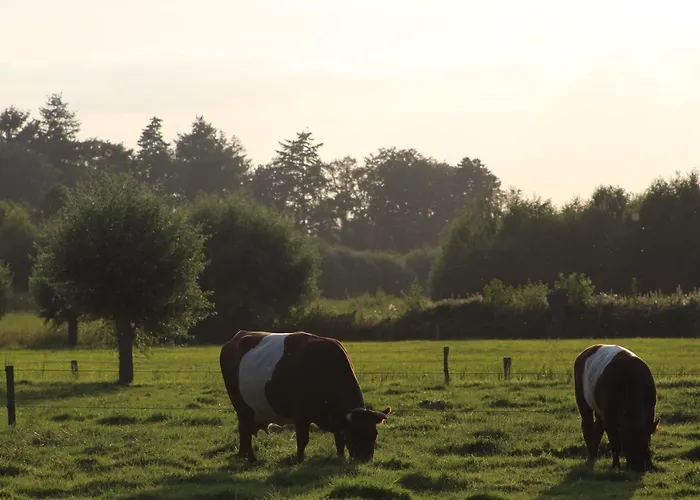 Boerderijtje Op Prachtige Plek, Nabij Natuurgebied Holiday home Ruurlo